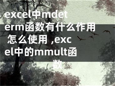 excel中mdeterm函數(shù)有什么作用 怎么使用 ,excel中的mmult函數(shù)