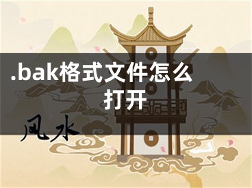 .bak格式文件怎么打開