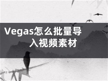 Vegas怎么批量導(dǎo)入視頻素材