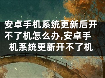 安卓手機(jī)系統(tǒng)更新后開(kāi)不了機(jī)怎么辦,安卓手機(jī)系統(tǒng)更新開(kāi)不了機(jī)