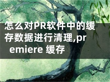 怎么對PR軟件中的緩存數(shù)據(jù)進(jìn)行清理,premiere 緩存