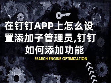 在釘釘APP上怎么設(shè)置添加子管理員,釘釘如何添加功能