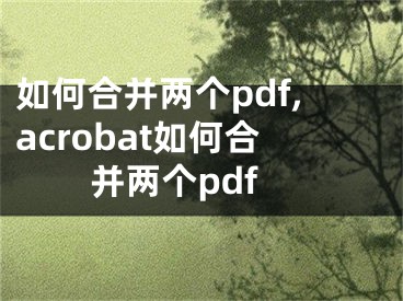 如何合并兩個pdf,acrobat如何合并兩個pdf