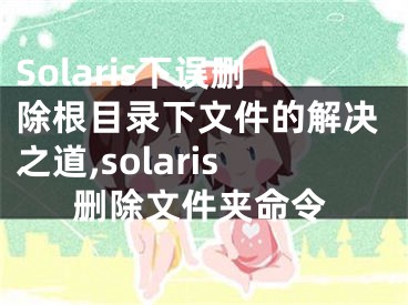 Solaris下誤刪除根目錄下文件的解決之道,solaris刪除文件夾命令