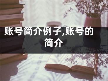 賬號(hào)簡(jiǎn)介例子,賬號(hào)的簡(jiǎn)介