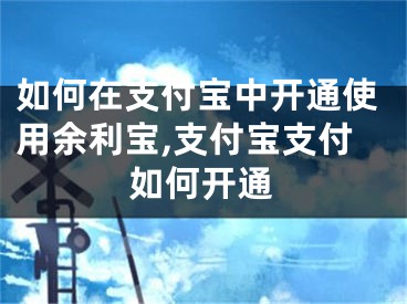 如何在支付寶中開通使用余利寶,支付寶支付如何開通