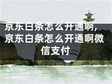 京東白條怎么開通啊,京東白條怎么開通啊微信支付