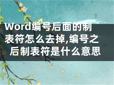 Word編號后面的制表符怎么去掉,編號之后制表符是什么意思