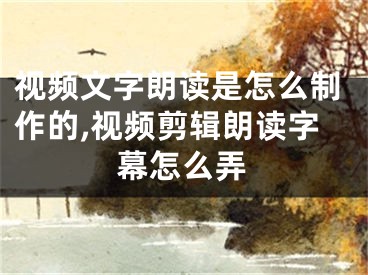 視頻文字朗讀是怎么制作的,視頻剪輯朗讀字幕怎么弄