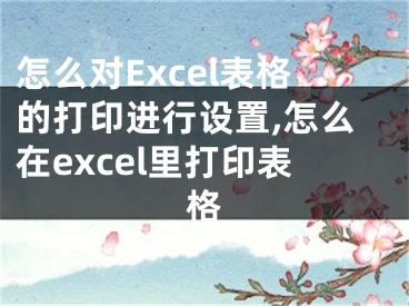 怎么對(duì)Excel表格的打印進(jìn)行設(shè)置,怎么在excel里打印表格