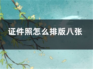 證件照怎么排版八張