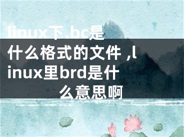 linux下.bc是什么格式的文件 ,linux里brd是什么意思啊