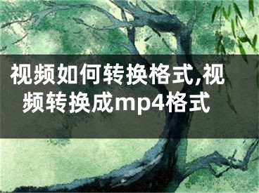 視頻如何轉(zhuǎn)換格式,視頻轉(zhuǎn)換成mp4格式