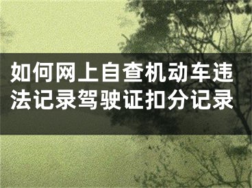 如何網(wǎng)上自查機動車違法記錄駕駛證扣分記錄