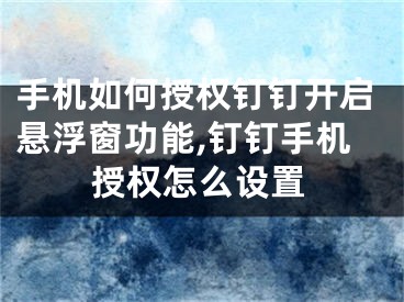 手機(jī)如何授權(quán)釘釘開啟懸浮窗功能,釘釘手機(jī)授權(quán)怎么設(shè)置