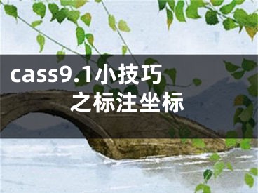 cass9.1小技巧之標(biāo)注坐標(biāo)