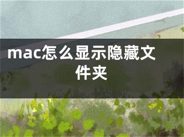 mac怎么顯示隱藏文件夾