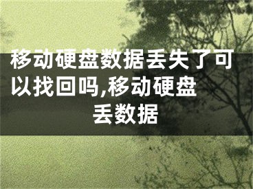 移動(dòng)硬盤數(shù)據(jù)丟失了可以找回嗎,移動(dòng)硬盤 丟數(shù)據(jù)