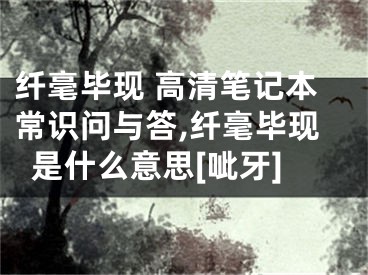 纖毫畢現(xiàn) 高清筆記本常識(shí)問(wèn)與答,纖毫畢現(xiàn)是什么意思[呲牙]