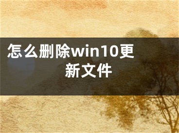 怎么刪除win10更新文件