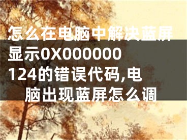 怎么在電腦中解決藍(lán)屏顯示0X000000124的錯誤代碼,電腦出現(xiàn)藍(lán)屏怎么調(diào)