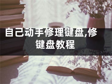 自己動手修理鍵盤,修鍵盤教程