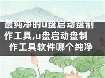 最純凈的u盤啟動(dòng)盤制作工具,u盤啟動(dòng)盤制作工具軟件哪個(gè)純凈