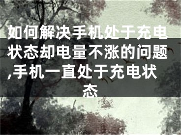 如何解決手機處于充電狀態(tài)卻電量不漲的問題,手機一直處于充電狀態(tài)