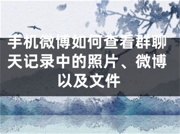 手機(jī)微博如何查看群聊天記錄中的照片、微博以及文件