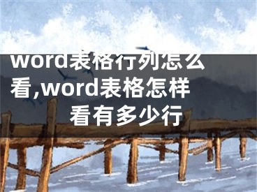 word表格行列怎么看,word表格怎樣看有多少行