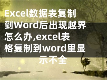 Excel數(shù)據(jù)表復(fù)制到Word后出現(xiàn)越界怎么辦,excel表格復(fù)制到word里顯示不全