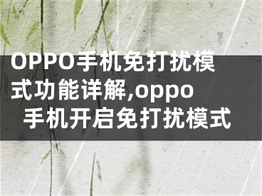 OPPO手機免打擾模式功能詳解,oppo手機開啟免打擾模式