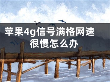 蘋果4g信號滿格網(wǎng)速很慢怎么辦