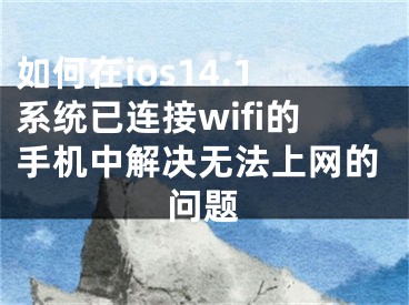 如何在ios14.1系統(tǒng)已連接wifi的手機(jī)中解決無法上網(wǎng)的問題