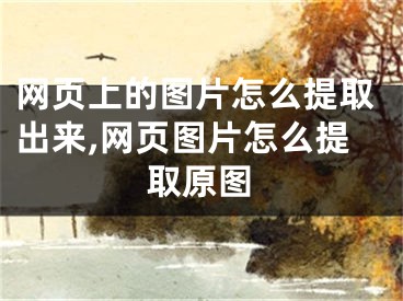 網(wǎng)頁上的圖片怎么提取出來,網(wǎng)頁圖片怎么提取原圖