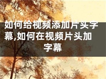 如何給視頻添加片頭字幕,如何在視頻片頭加字幕