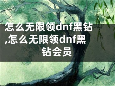 怎么無限領(lǐng)dnf黑鉆,怎么無限領(lǐng)dnf黑鉆會(huì)員