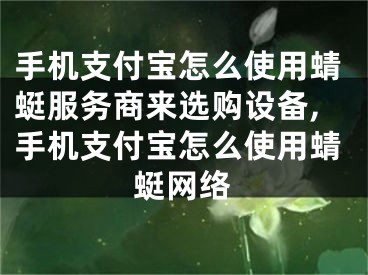 手機支付寶怎么使用蜻蜓服務(wù)商來選購設(shè)備,手機支付寶怎么使用蜻蜓網(wǎng)絡(luò)