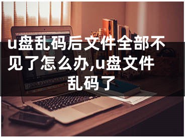 u盤亂碼后文件全部不見了怎么辦,u盤文件亂碼了