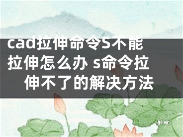 cad拉伸命令S不能拉伸怎么辦 s命令拉伸不了的解決方法