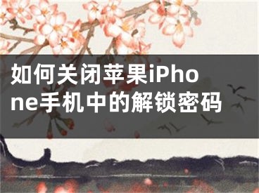 如何關(guān)閉蘋果iPhone手機(jī)中的解鎖密碼