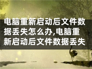 電腦重新啟動后文件數(shù)據(jù)丟失怎么辦,電腦重新啟動后文件數(shù)據(jù)丟失