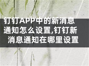 釘釘APP中的新消息通知怎么設置,釘釘新消息通知在哪里設置