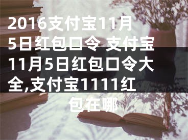 2016支付寶11月5日紅包口令 支付寶11月5日紅包口令大全,支付寶1111紅包在哪