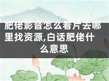 肥佬影音怎么看片去哪里找資源,白話肥佬什么意思