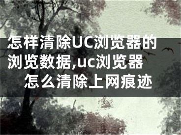 怎樣清除UC瀏覽器的瀏覽數(shù)據(jù),uc瀏覽器怎么清除上網(wǎng)痕跡