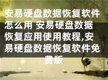 安易硬盤數(shù)據(jù)恢復(fù)軟件怎么用 安易硬盤數(shù)據(jù)恢復(fù)應(yīng)用使用教程,安易硬盤數(shù)據(jù)恢復(fù)軟件免費版