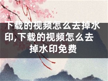 下載的視頻怎么去掉水印,下載的視頻怎么去掉水印免費(fèi)