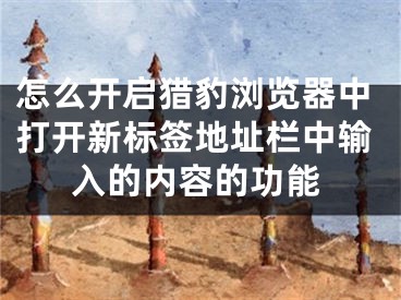 怎么開啟獵豹瀏覽器中打開新標(biāo)簽地址欄中輸入的內(nèi)容的功能