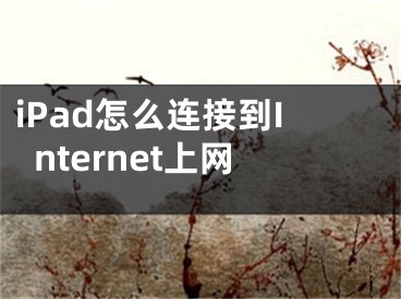 iPad怎么連接到Internet上網(wǎng)